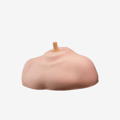 TZ019