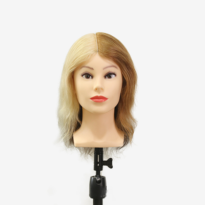 Brenda-08H4C